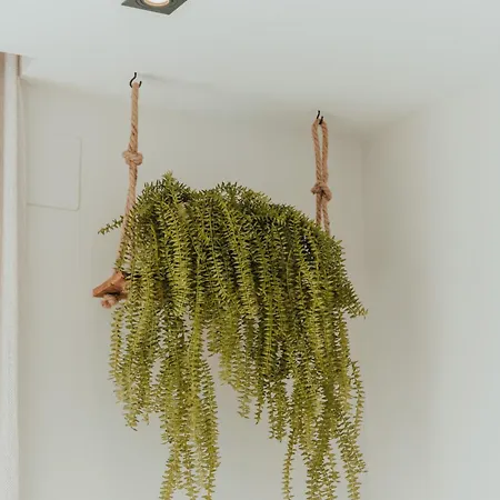 Daire Higueron West Collection - La Costavale By Hwpc