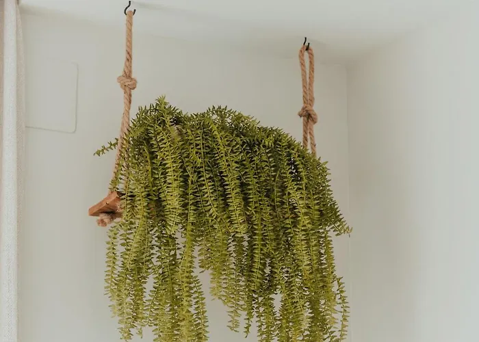 Apartment Higueron West Collection - La Costavale By Hwpc